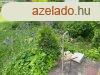 Szolnokon az Almavirg utcban ptsi telek elad!