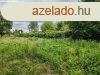 800 m2-es zrtkert elad Szolnokon a Patk utcban!