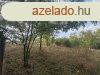 Elad Kzepes llapot Szntfld, legel Nagyvenyim Petfis