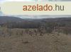 Hatalmas panorms telek Kerekiben elad!