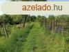 Elad 35m2-es Zrtkert, Kaposvr