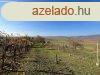Elad zrtkert Hregen, a Bikarti dlben