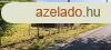 sszkzmves ptsi Telek Elad!