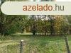Tiszakcskna Holt-Tisza horgszt mellett, csods krnyezet
