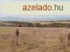 Elad 0Klterlet, Ft