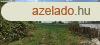 CSKKENT AZ RA! 7200 nm bekertett sznt elad Bkscsabn