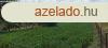 CSKKENT AZ RA! 7200 nm bekertett sznt elad Bkscsabn