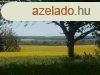 Legyen panormja, Olaszfn e dombos tjra! - Olaszfa