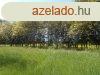 Legyen panormja, Olaszfn e dombos tjra! - Olaszfa