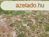 Hatalmas lehetsg- Polgrdin ptsi telek elad.