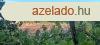 Termszetben megbj Panorms ZRTKERT ISZKASZENTGYRGYN! 