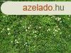 Elad SSZKZMVES LAKVEZETI PTSI TELEK AGRDON! - Grd