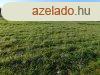 Kehidakustnyban kzmvekkel elltott, kzponthoz kzeli, te