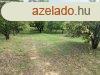 Elad 1689 nm-es Feljtott Egyb Kozrmisleny