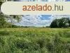 Belterleti, sk 9871 nm-es ptsi telek elad