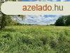 Belterleti, sk 9871 nm-es ptsi telek elad