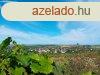 Tabon j llapot pince gondozott zrtkertben elad