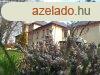 Balatonfzfn kastly villa plet 4 szintes 20 szoba felj