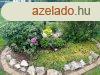 Kivl llapot csaldi hz zldvezetben elad! - Sgvr