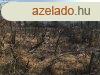 Hvzen 5 szobs tbb funkcis csaldi hz elad