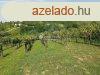 Elad hz, Zalaegerszeg
