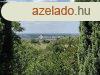 Elad hz, Zalaegerszeg