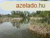 Elad 120 nm-es Feljtott Csaldi hz Taksony