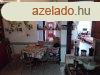 Elad 160 nm-es jszer llapot Csaldi hz Ostoros