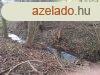 Elad csaldi hz Pusztaszentlszl, 	Pusztaszentlszl