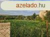 Elad csaldi hz Vcrtt, 	nll csaldi hz