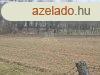 Elad csaldi hz Bezerd, 	Csaldi hz csods krnyezetben!