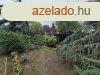 Elad csaldi hz Budapest, X. kerlet, 	hegy park kzelbe