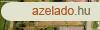 Elad csaldi hz Kisnmedi, 	Kzsgben