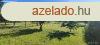Elad csaldi hz jszentivn, 	jszentivnon Csaldi hz el