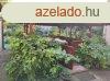Szeged alsvrosi 3 szobs j llapot hz elad