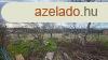 Egerszlton 100 nm-es csaldi hz elad.  26,9 M  20-975-14
