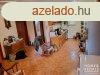 Domaszken csaldi hz elad