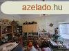 lls kzpontjban csaldi hz elad