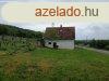Elad prshz s szl - Pcsely