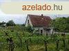Elad prshz s szl - Pcsely