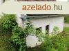 Elad prshz s szl - Pcsely