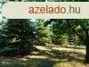 Korszer hz, ltetvnyes telekkel! - Kard