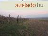 Elad prshz Balatonkrnykn! - Kard