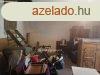 Elad 210 nm-es Csaldi hz Felslajos Akcfa utca krnykn