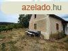 PCSELYEN BALATONI PANORMVAL - PRSHZ S SZL. - Pcsely