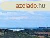PCSELYEN BALATONI PANORMVAL - PRSHZ S SZL. - Pcsely