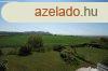 Panorms csaldi hz - Aszf