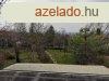 Panorms, ktgenercis csaldi hz - Veresegyhz