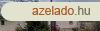 Elad csaldi hz Cibakhza bks krnyezetben!