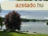 DESEDAI 40 M2-ES HTVGI HZ